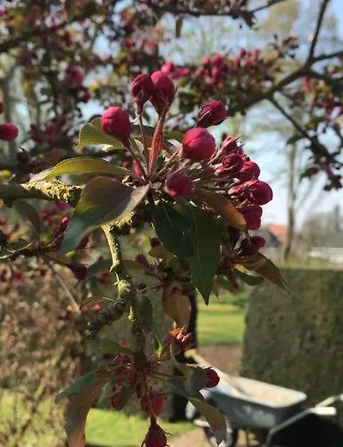 Vakantiewoning Hof7tien90 * Nuth