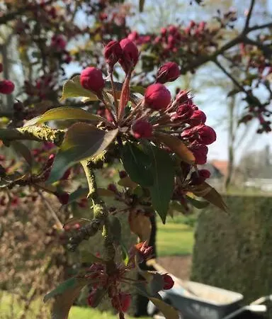 Vakantiewoning Hof7tien90 * Nuth